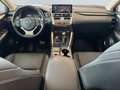 Lexus NX 300h Style Edition *Bi-LED*ACC*Kamera*SHZ*PDC* Vert - thumbnail 12