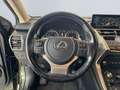 Lexus NX 300h Style Edition *Bi-LED*ACC*Kamera*SHZ*PDC* Vert - thumbnail 13