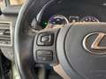 Lexus NX 300h Style Edition *Bi-LED*ACC*Kamera*SHZ*PDC* Vert - thumbnail 25
