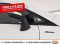 Ford EcoSport 1.0 ecoboost active s&s 125cv Weiß - thumbnail 15