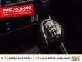 Ford EcoSport 1.0 ecoboost active s&s 125cv Weiß - thumbnail 25