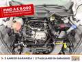 Ford EcoSport 1.0 ecoboost active s&s 125cv Weiß - thumbnail 11
