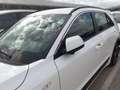 Kia Niro 1.6 HEV Concept Blanco - thumbnail 18