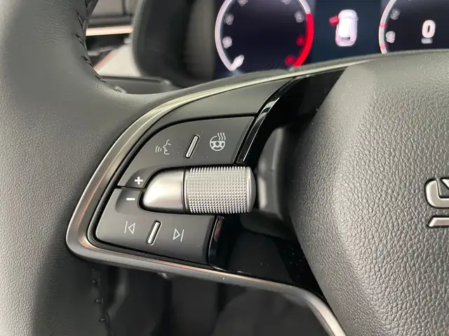 Skoda Scala view 13