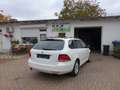 Volkswagen Golf VI  1.2 TSI MATCH Variant, EU5, Service neu Weiß - thumbnail 6