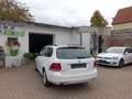 Volkswagen Golf VI  1.2 TSI MATCH Variant, EU5, Service neu Weiß - thumbnail 7