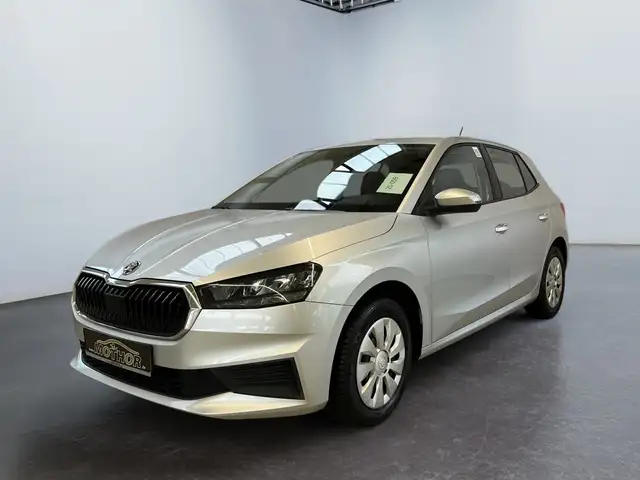 Skoda Fabia view 2