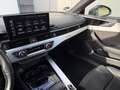Audi A5 Cabriolet 40 TFSI 204pk Stronic quattro Grau - thumbnail 21