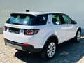 Land Rover Discovery Sport HSE 4x4 +AHK+NAVI+PANO+XENON+ Weiß - thumbnail 4