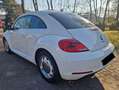 Volkswagen Beetle The Beetle 1.2 TSI Design Weiß - thumbnail 6