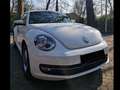 Volkswagen Beetle The Beetle 1.2 TSI Design Weiß - thumbnail 2