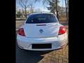 Volkswagen Beetle The Beetle 1.2 TSI Design Weiß - thumbnail 3