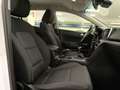 Kia Sportage 1.6 MHEV Black Edition 4x2 136 Blanco - thumbnail 21