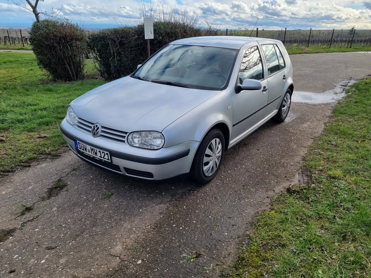 Volkswagen Golf Silver - 1
