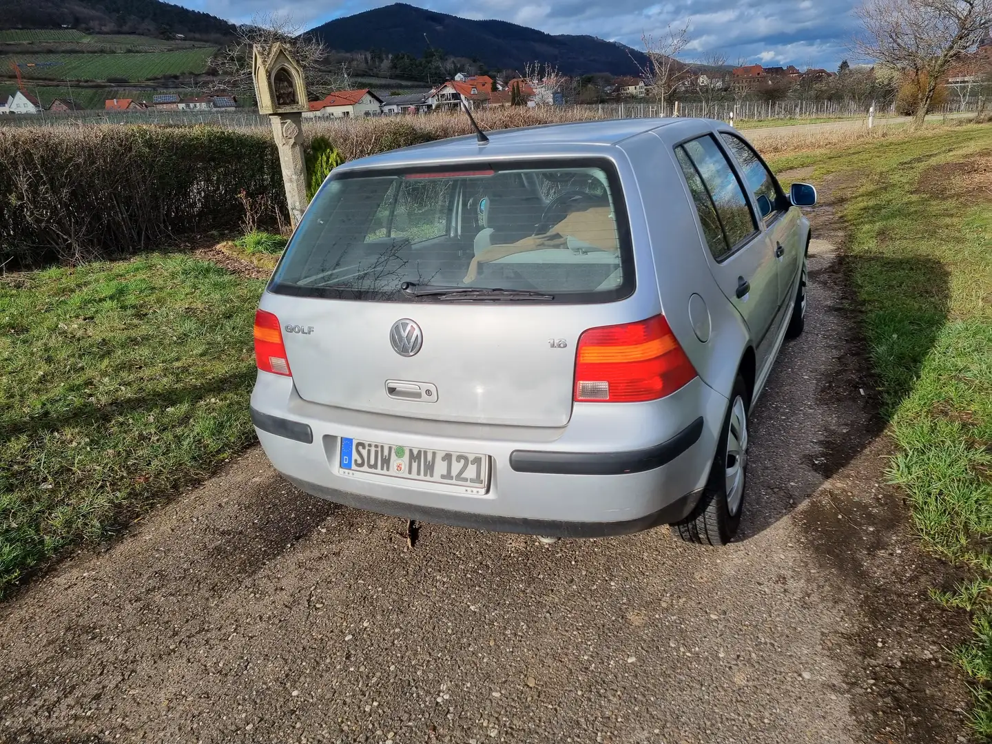 Volkswagen Golf Silver - 2