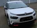 Citroen C4 Cactus BlueHDi 100 Stop&Start Shine Weiß - thumbnail 7