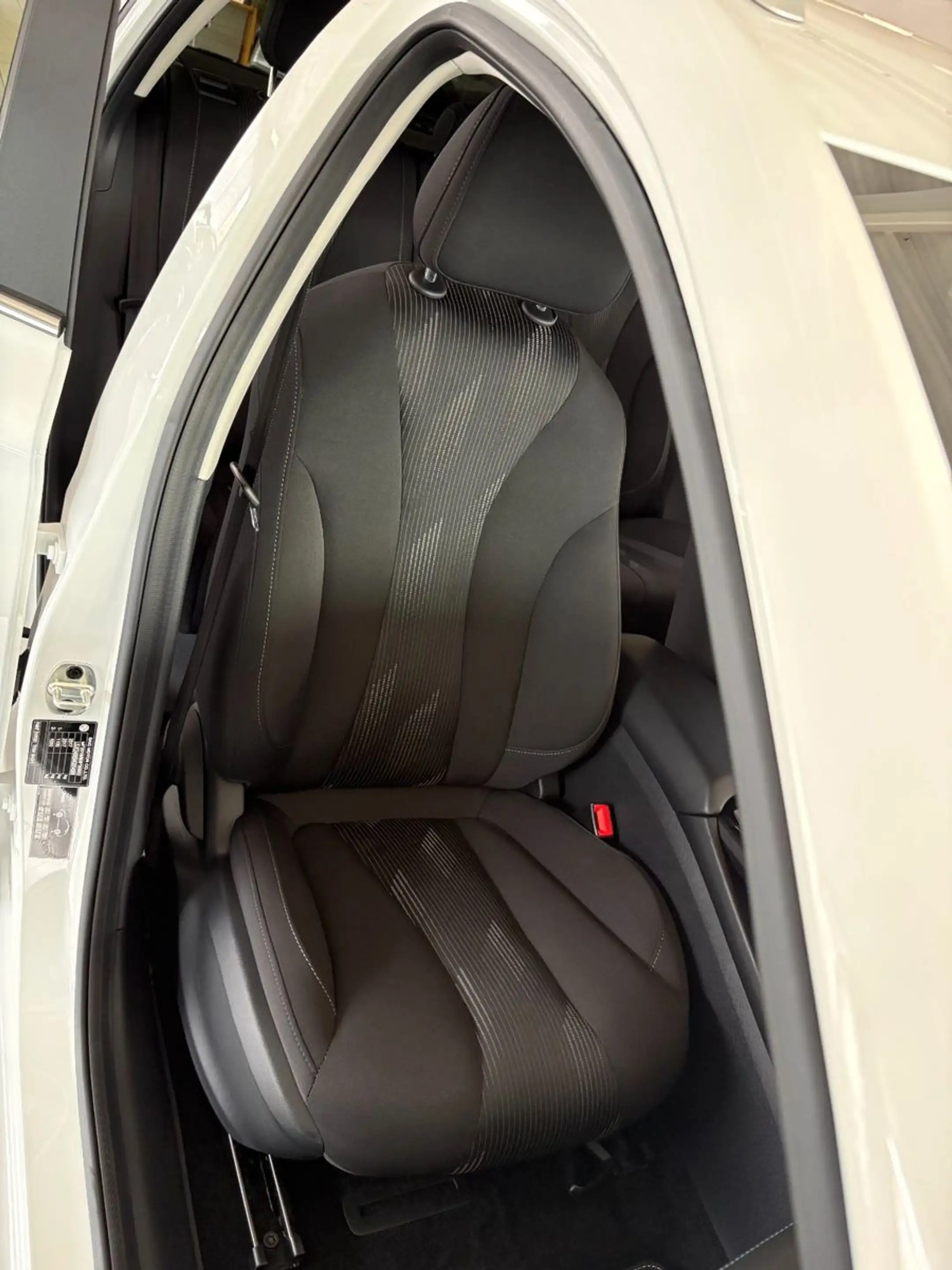 MG MG5 * Sitzh.*ACC*LFP*Kamera — photo 11