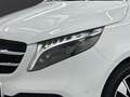 Mercedes-Benz V 250 d 4M Edition Airmat Stdhzg Sportpak ILS LED Weiß - thumbnail 6