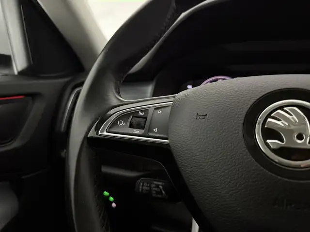 Skoda Kodiaq view 24