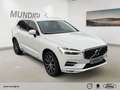 Volvo XC60 Inscription AWD StandHZG AHK-klappbar Navi Memory Weiß - thumbnail 6
