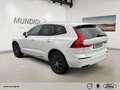 Volvo XC60 Inscription AWD StandHZG AHK-klappbar Navi Memory Weiß - thumbnail 4