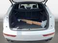 Audi SQ5 3.0 TDI quattro tiptronic Matrx-LED Kamera Blanc - thumbnail 14