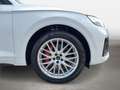 Audi SQ5 3.0 TDI quattro tiptronic Matrx-LED Kamera Blanc - thumbnail 8