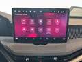 Skoda Superb Sportline Gris - thumbnail 13