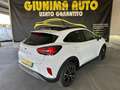 Ford Puma Puma II 2020 1.0 ecoboost h Titanium Design s Bianco - thumbnail 6