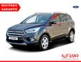 Ford Kuga 2.0 TDCi Navi Tempomat PDC AWD Klimaaut. Gris - thumbnail 1