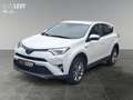 Toyota RAV 4 RAV4 2.5 Hybrid Team D *LHZ*SHZ* Wit - thumbnail 2