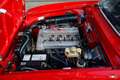 Alfa Romeo GT 1300 Junior. Fully restored with a 1600 GT engine! Rot - thumbnail 17