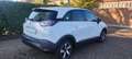 Opel Crossland X Crossland 1.2 Elegance ANCHE NEO PATENTATI Bianco - thumbnail 13