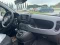 Fiat Panda 1.0 ROTTAMAZIONE FIAT FINO A EURO 4 Rosso - thumbnail 14