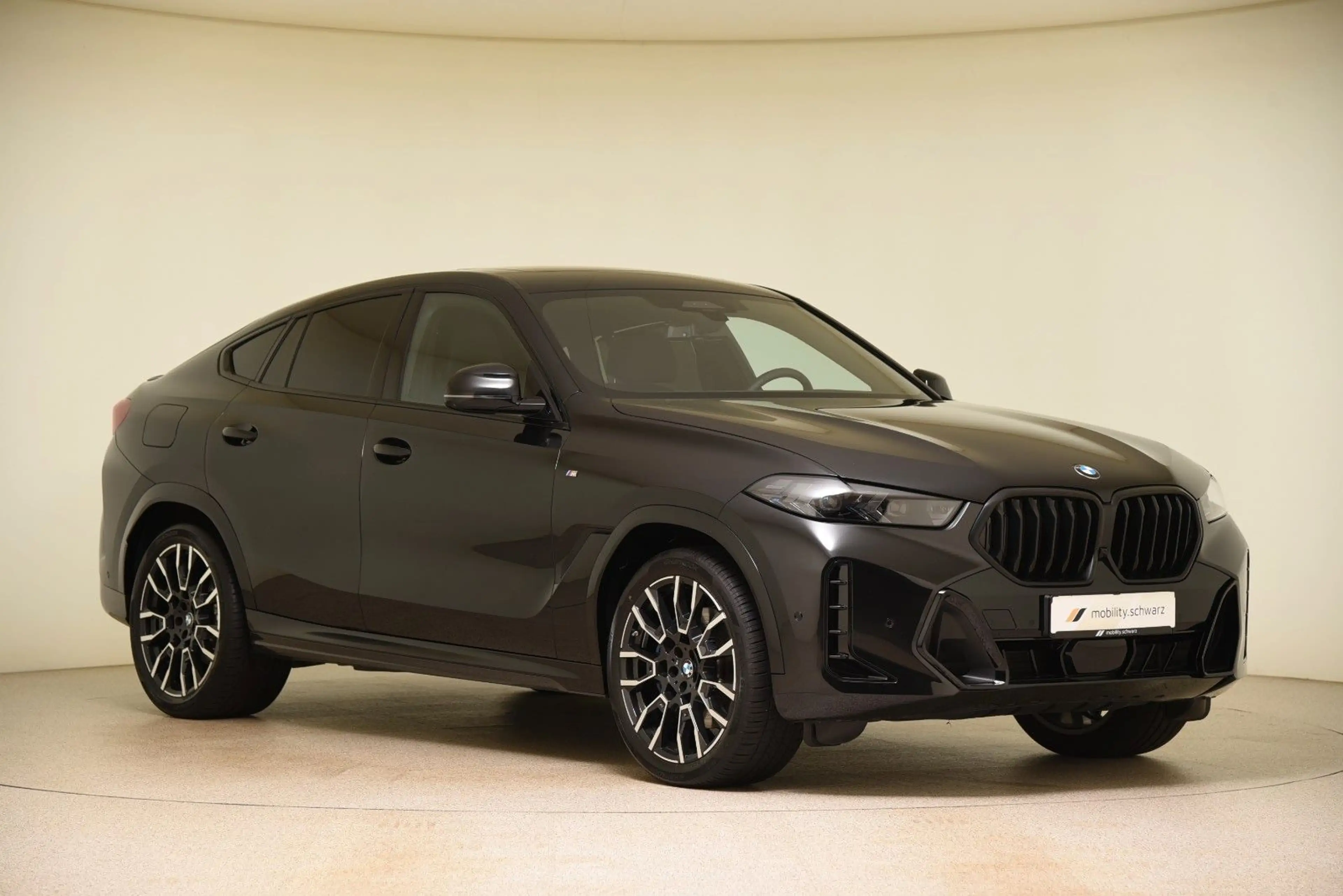 BMW X6 xDrive30d M Sport Pro ACC StandHzg Gestik LED — photo 4
