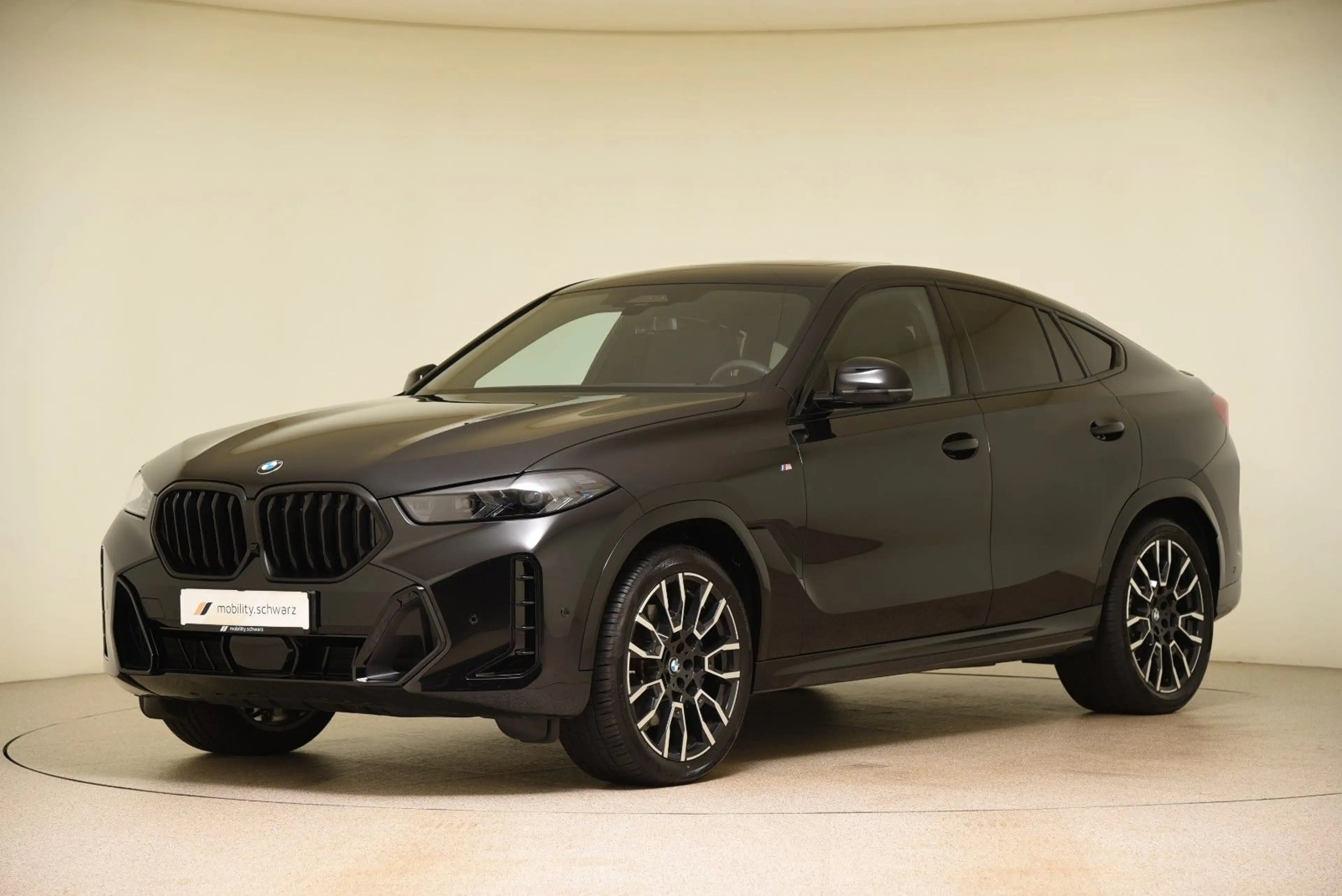 BMW X6 xDrive30d M Sport Pro ACC StandHzg Gestik LED