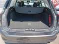 Ford Focus SW 1.0 EcoBoost 100CV Business Grau - thumbnail 11