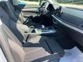 Audi Q5 Q5 II 2017 35 2.0 tdi Bu Sport quat 163cv s-tronic Silber - thumbnail 15