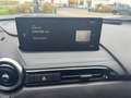 Mazda MX-5 2.0 (184PS) Schalter Homura Recaro Bilstein Grau - thumbnail 16