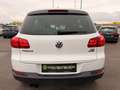 Volkswagen Tiguan 1,4 TSI Sport&Style BMT DSG Weiß - thumbnail 6