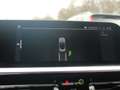 BMW Z4 Roadster sDrive20i High Executive ACC DAB Gris - thumbnail 29