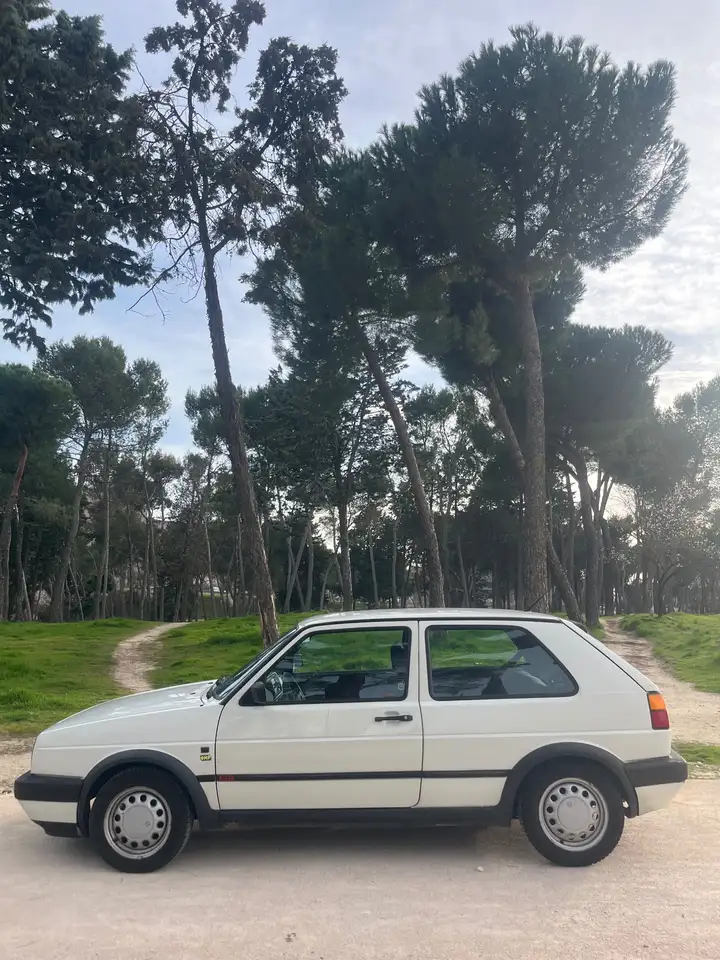 Volkswagen Golf GTI Golf 1.8 GTI A.A. 110 GTI, foto 5