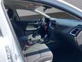 Kia Ceed / cee'd CEED 1.5T DCT 48V VISION NAVI KAMERA KLIMAAUTO. CA Weiß - thumbnail 9