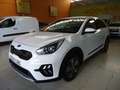Kia Niro 1.6 HEV Concept Weiß - thumbnail 13