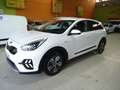 Kia Niro 1.6 HEV Concept Weiß - thumbnail 1