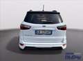 Ford EcoSport 1.0 EcoBoost 125 CV Start&Stop ST-Line Blanc - thumbnail 13
