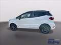 Ford EcoSport 1.0 EcoBoost 125 CV Start&Stop ST-Line Blanc - thumbnail 11