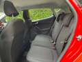 Ford Fiesta 5p 1.0 ecoboost Hybrid Titanium 125cv Rosso - thumbnail 13