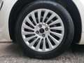 Fiat 500 Action PDC #KLIMA Blanc - thumbnail 10