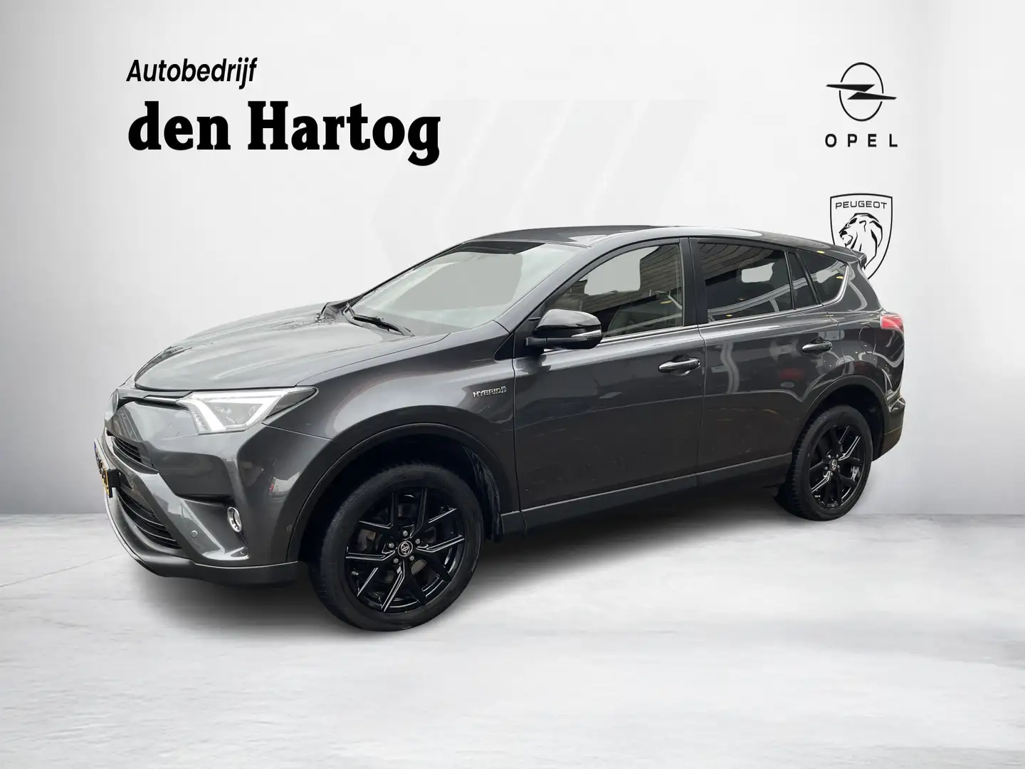 Toyota RAV 4 2.5 Hybrid Executive Automaat/Leder/Camera/Trekhaa Серый - 1